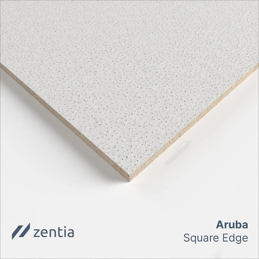 Aruba Ceiling Tiles for Modern Spaces