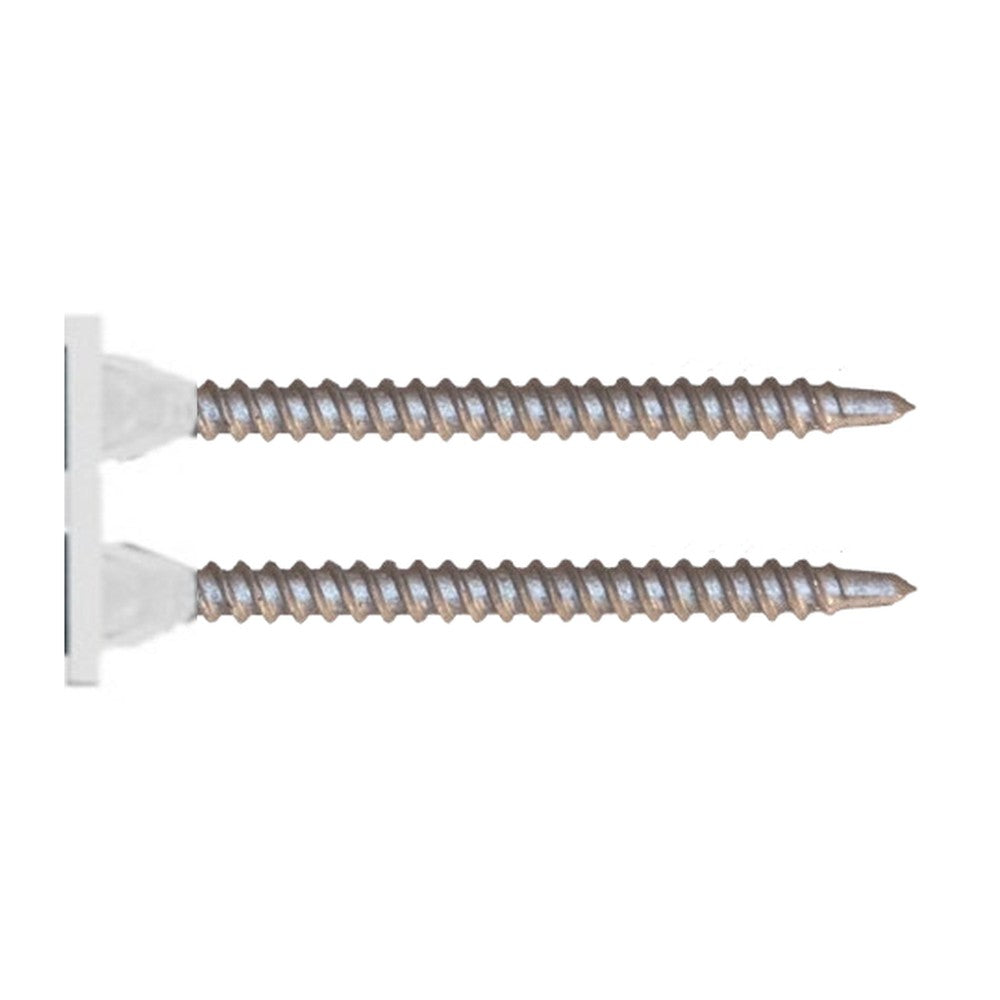 Evolution Collated Super Drywall Screws – Evoshield 1,000hr (Full Cartons)