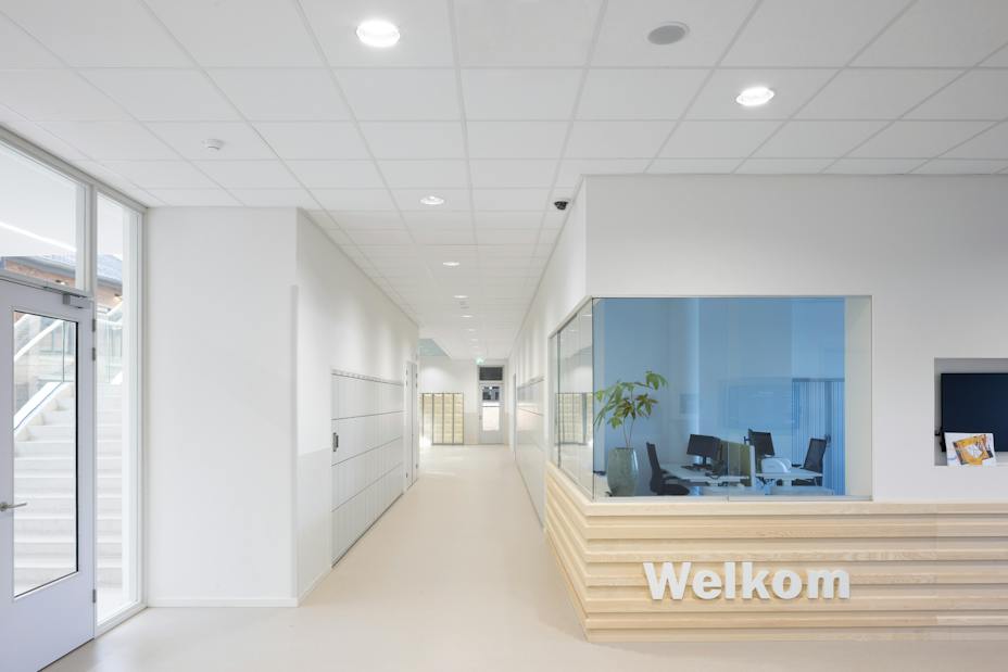 Rockfon Artic+ A24 ceiling tiles installed in a suspended ceiling