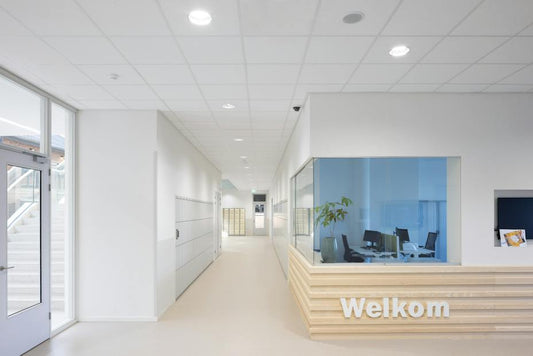 Rockfon Artic+ A24 ceiling tiles installed in a suspended ceiling